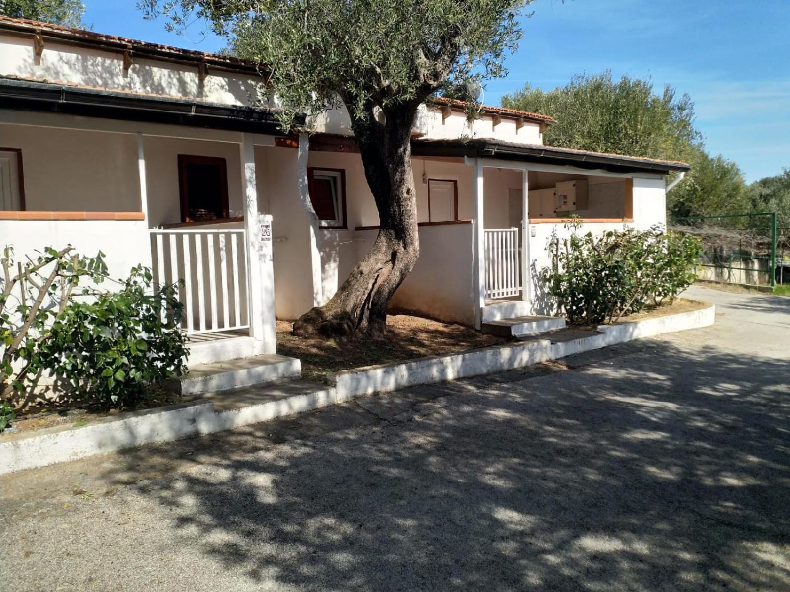 Villaggio Residence Villamarina Marina di Camerota Exterior foto